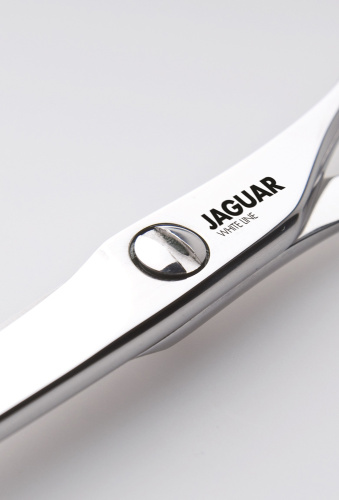 Парикмахерские ножницы SILVER ICE прямые 6,0" JAGUAR 1360