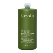 Мицеллярный шампунь для блеска волос GLOSSY MICELLAR SHAMPOO, 1000 мл BENVOLEO 23801