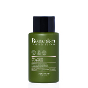 Шампунь для восстановления волос RECOVERY SHAMPOO, 275 мл BENVOLEO 23809