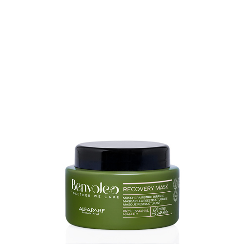 Маска для восстановления волос RECOVERY MASK, 250 мл BENVOLEO 23811