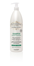 Кератиновый шампунь для восстановления поврежденных волос ISM KERATIN SHAMPOO 1000 мл IL SALONE MILANO 26524