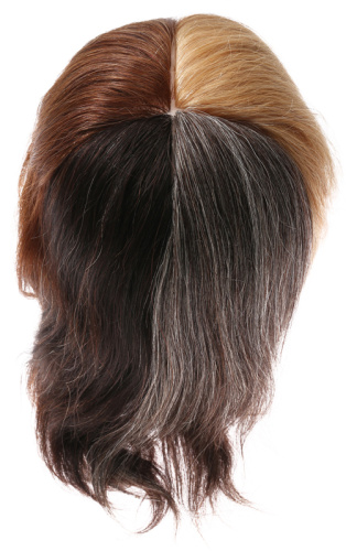 Голова-манекен учебная (4 цвета) для парикмахеров DEWAL M-2049A